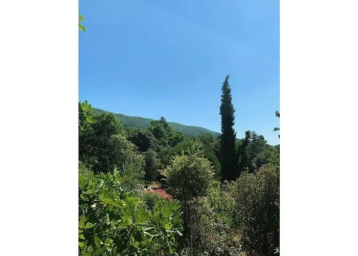 Tatil Evi La Patouille Comfortable Aujac (Gard)